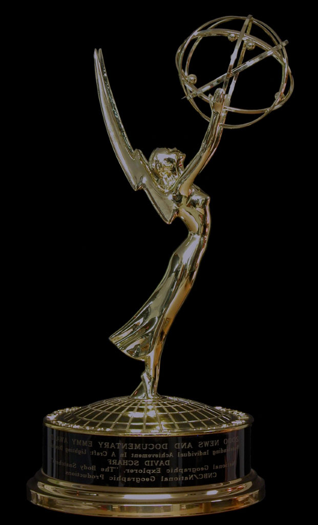 مقام شرکت طراحی سایت